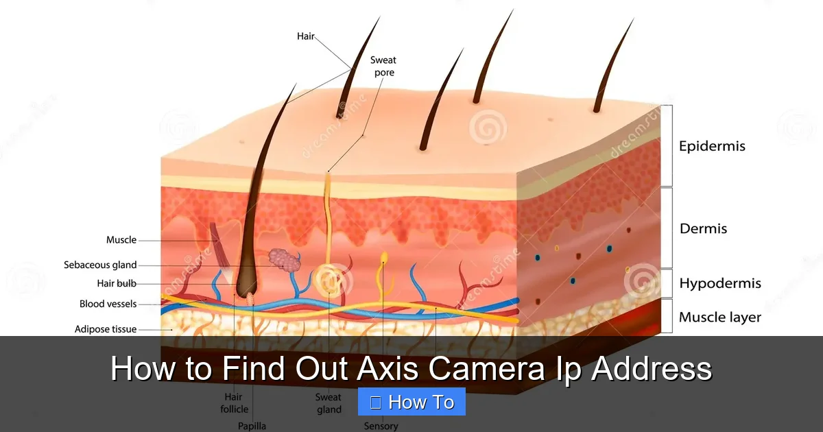 How to Find Out Axis Camera Ip Address