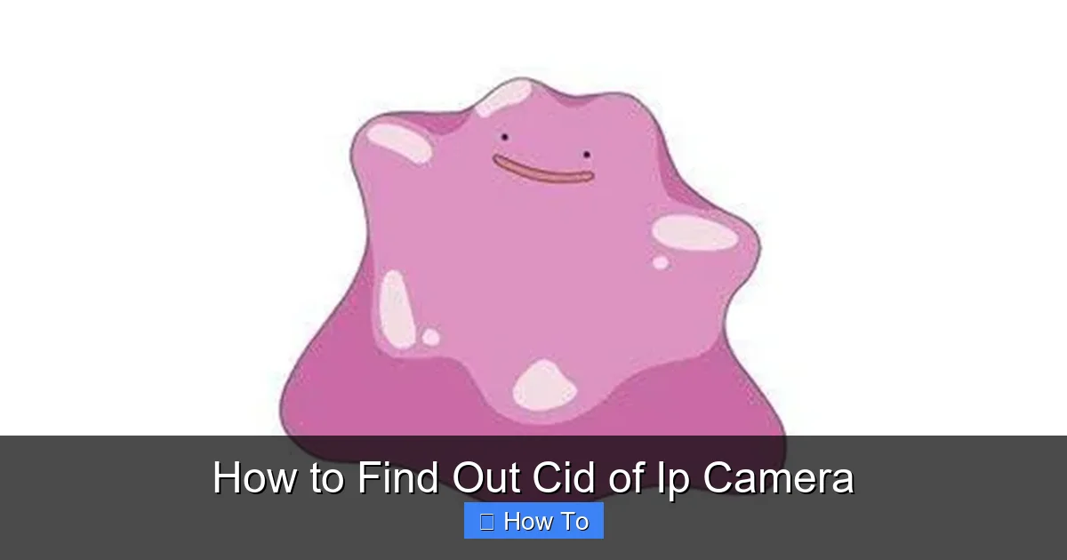 How to Find Out Cid of Ip Camera