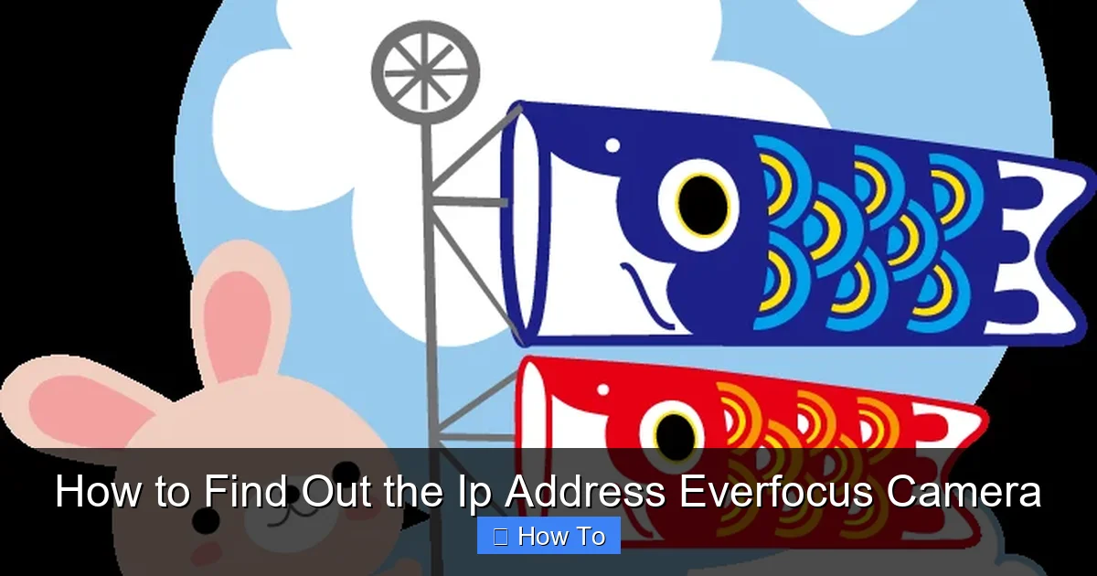 How to Find Out the Ip Address Everfocus Camera