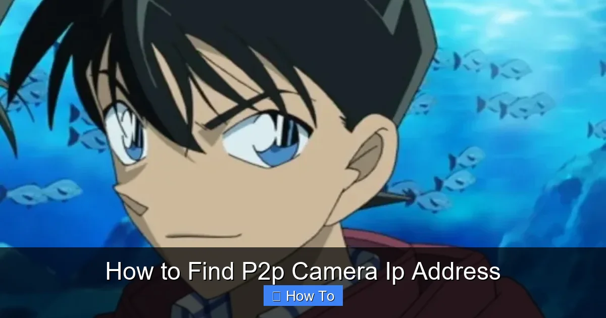 How to Find P2p Camera Ip Address