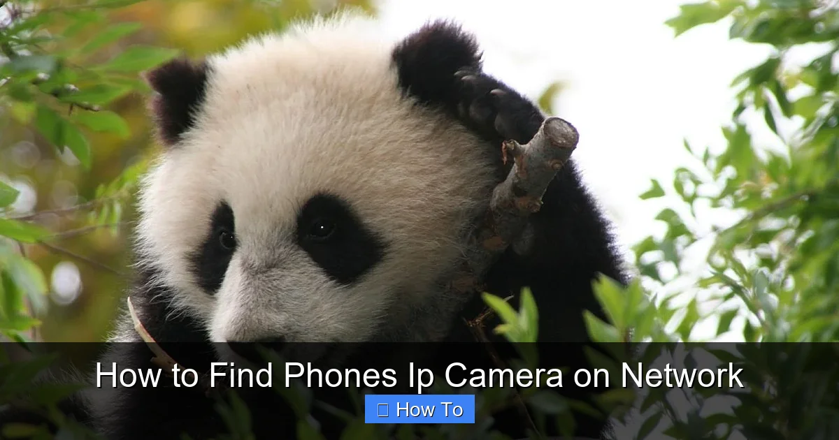 How to Find Phones Ip Camera on Network