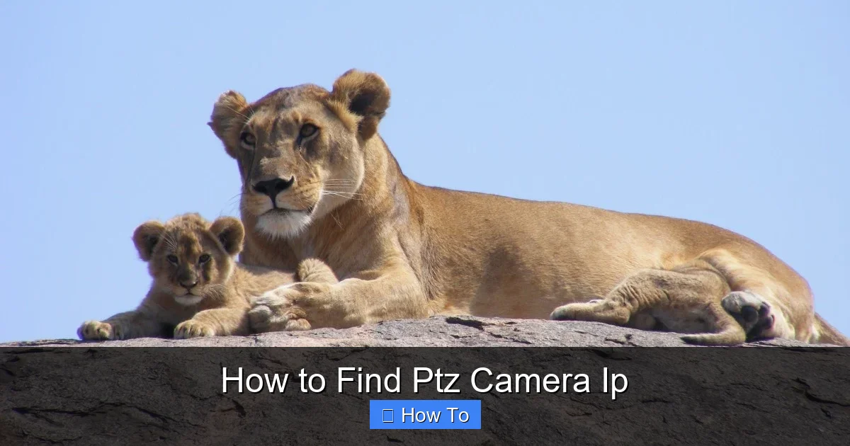 How to Find Ptz Camera Ip
