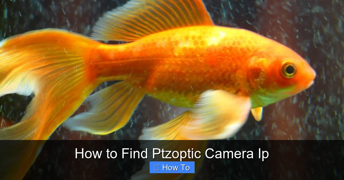 How to Find Ptzoptic Camera Ip