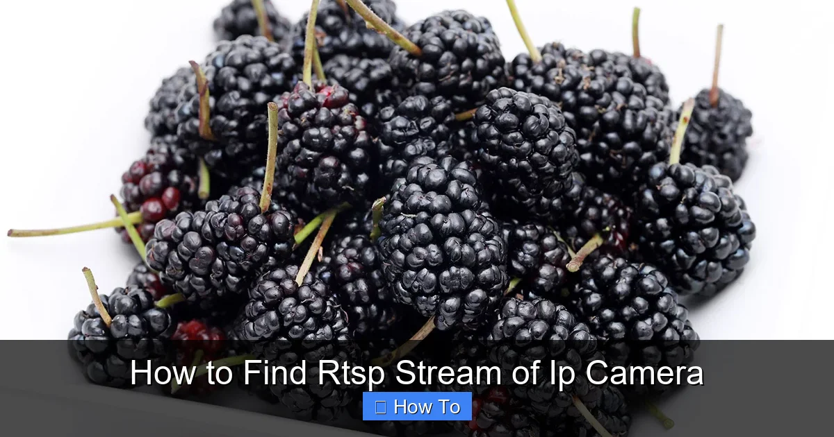 How to Find Rtsp Stream of Ip Camera