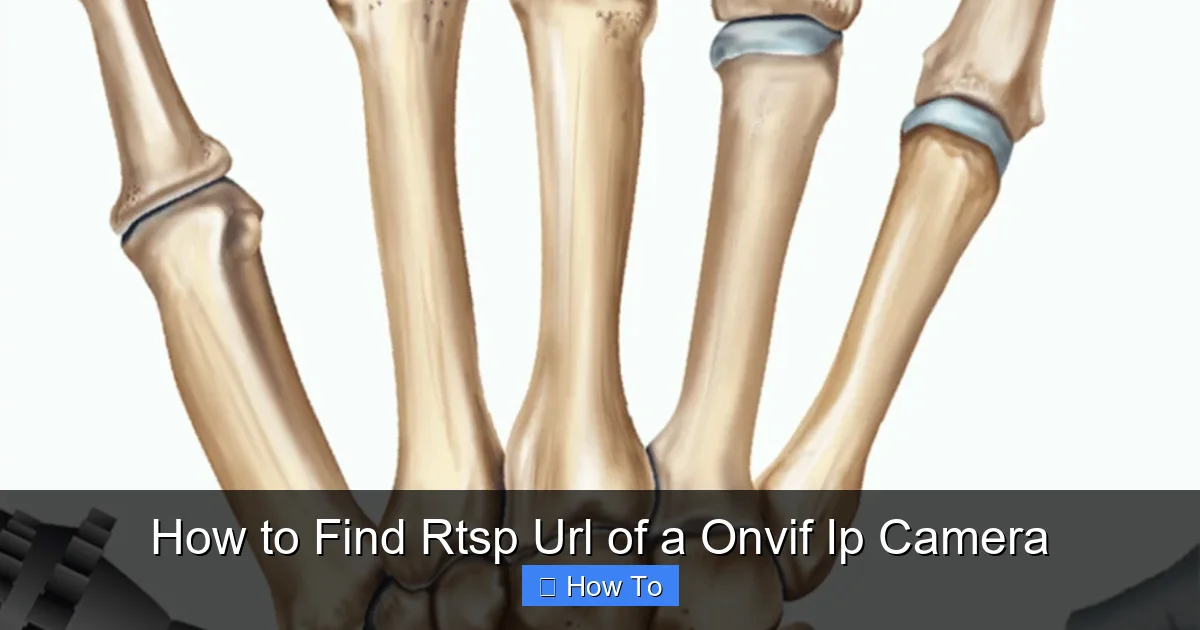 How to Find Rtsp Url of a Onvif Ip Camera
