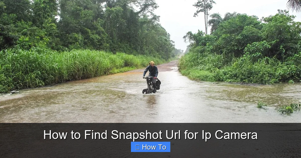 How to Find Snapshot Url for Ip Camera