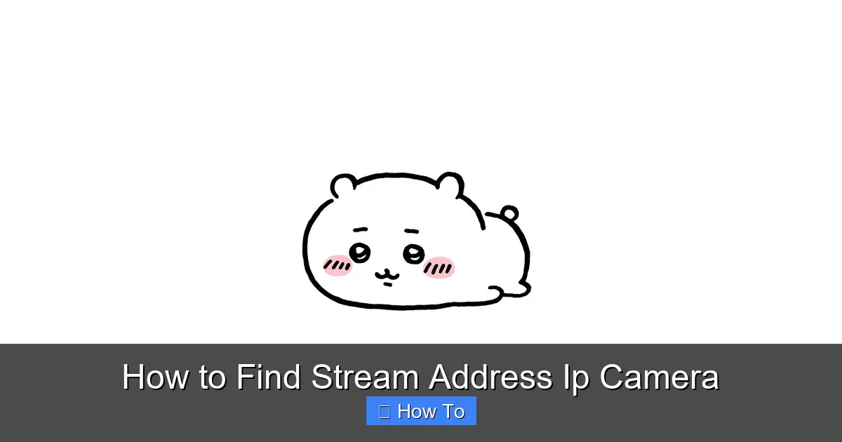 How to Find Stream Address Ip Camera