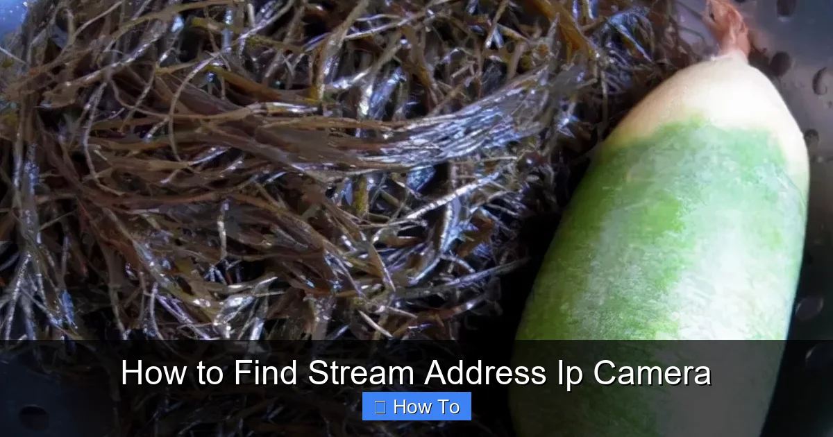 How to Find Stream Address Ip Camera