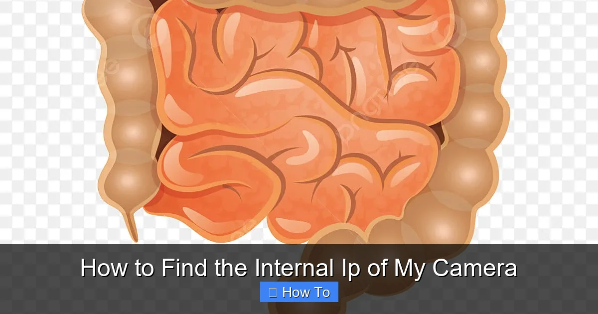 How to Find the Internal Ip of My Camera