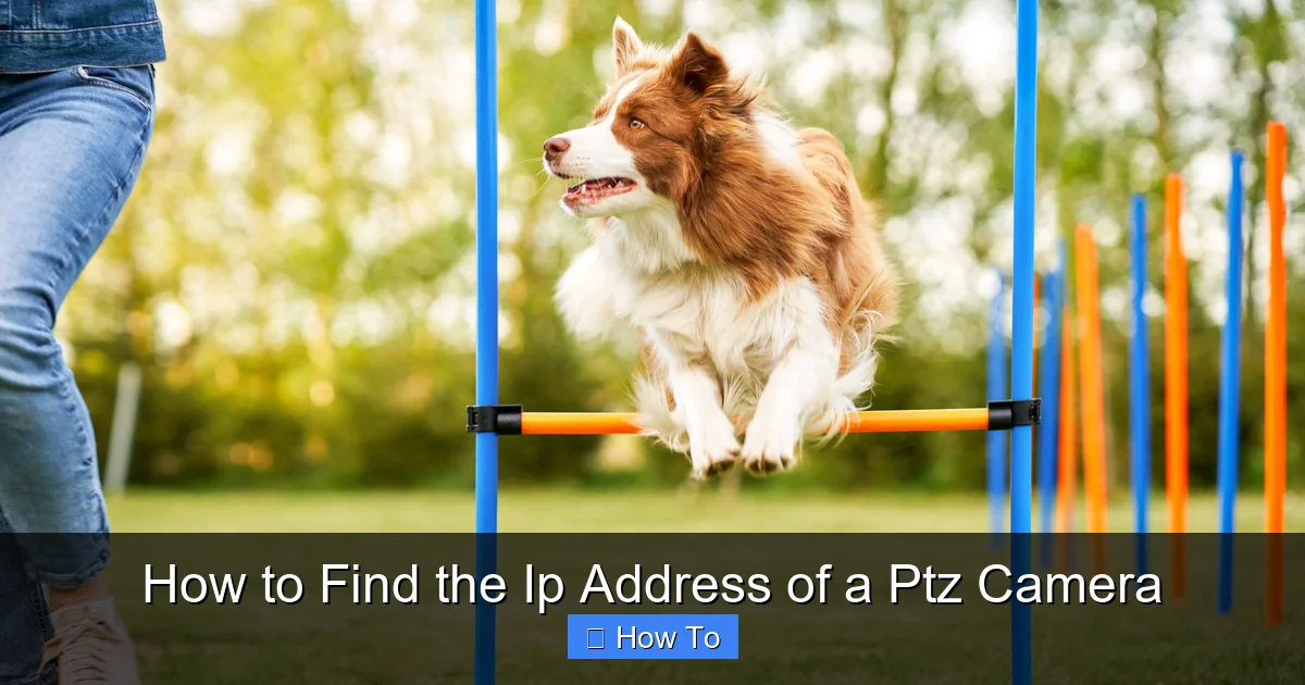 How to Find the Ip Address of a Ptz Camera