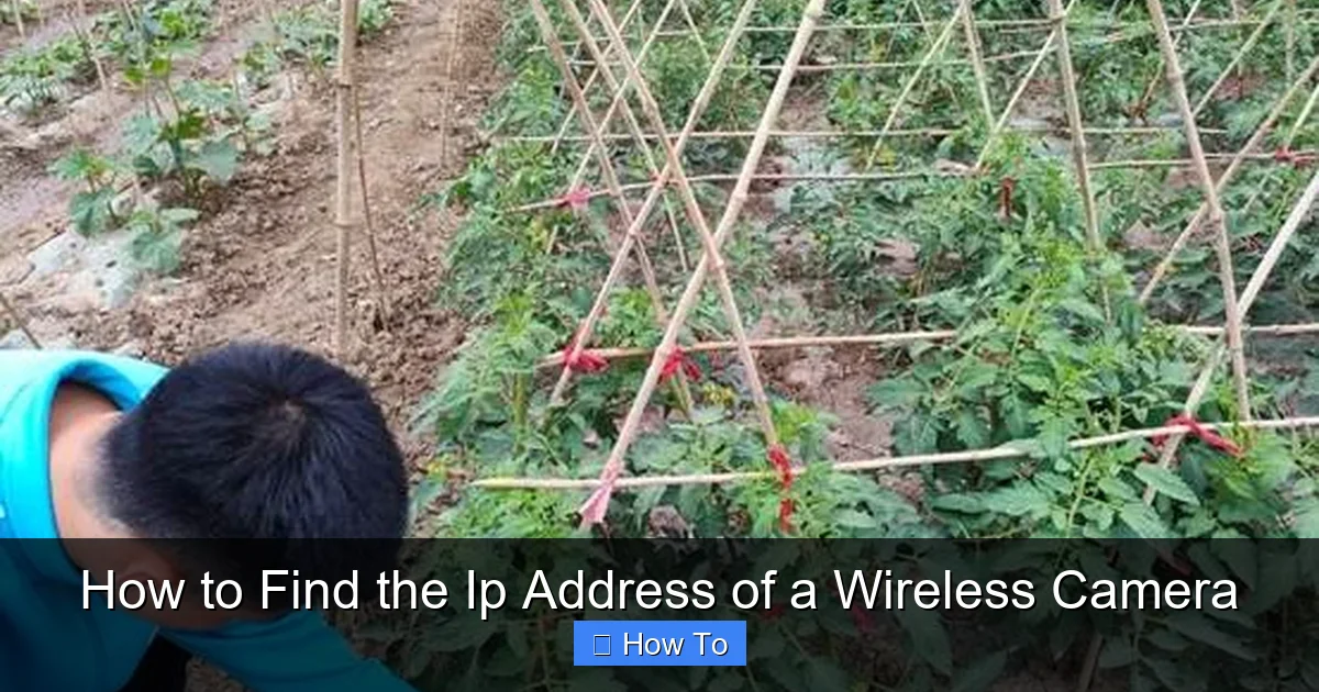 How to Find the Ip Address of a Wireless Camera