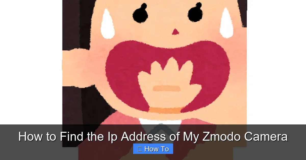 How to Find the Ip Address of My Zmodo Camera