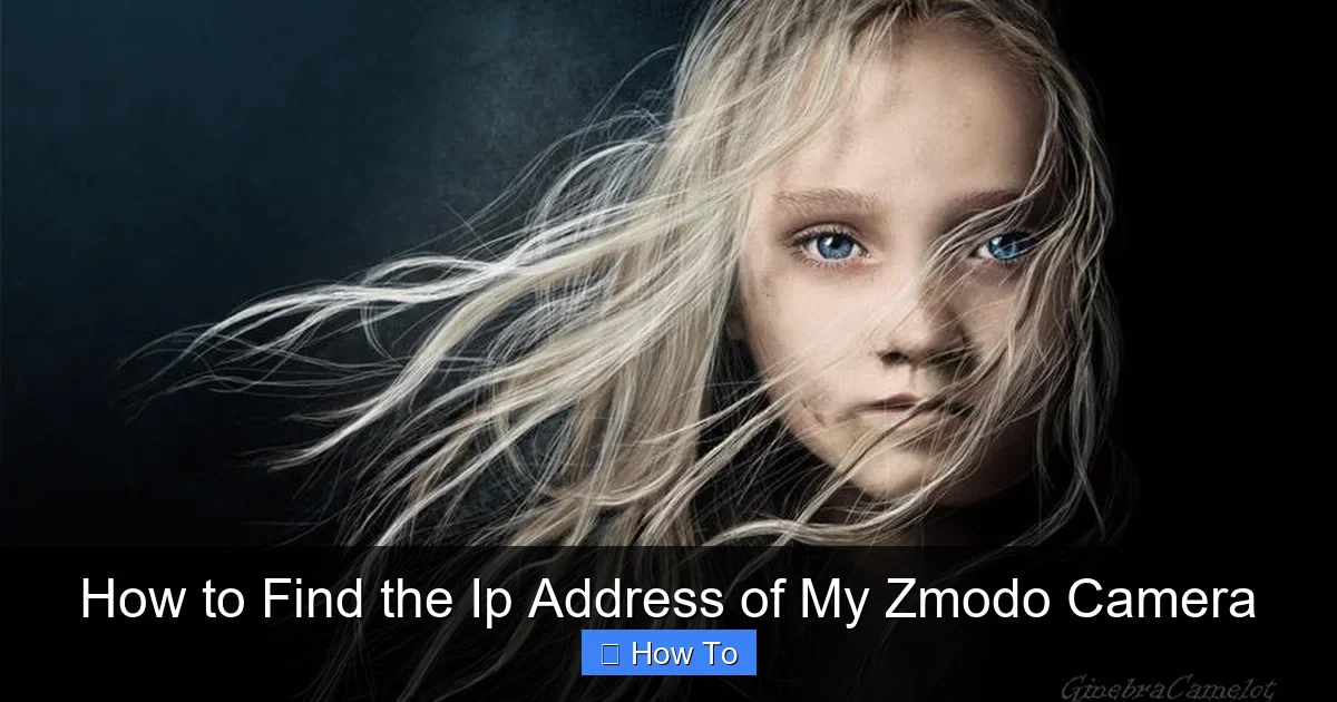 How to Find the Ip Address of My Zmodo Camera