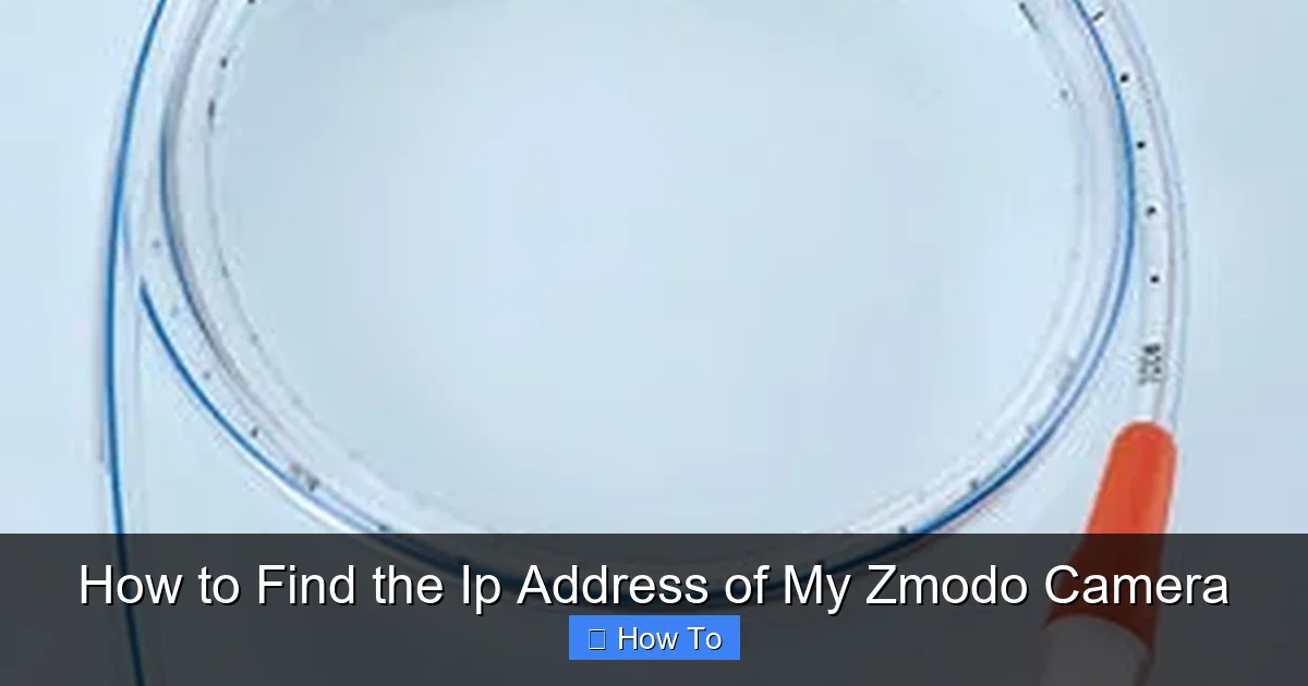 How to Find the Ip Address of My Zmodo Camera
