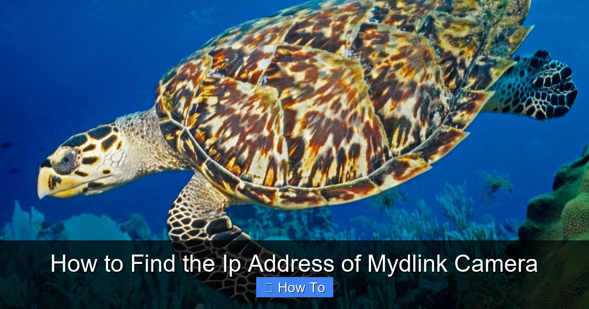 How to Find the Ip Address of Mydlink Camera