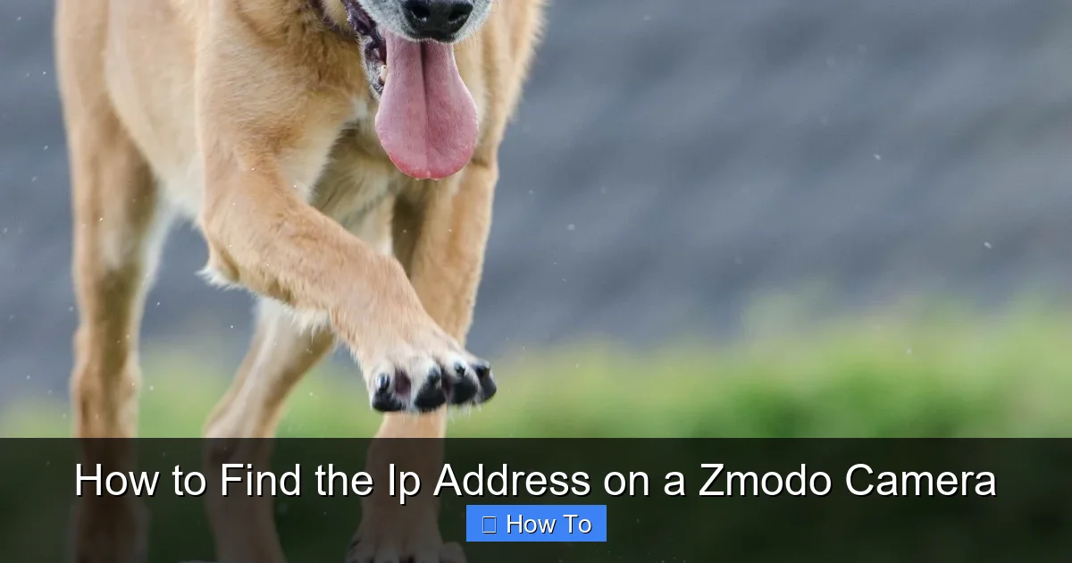 How to Find the Ip Address on a Zmodo Camera