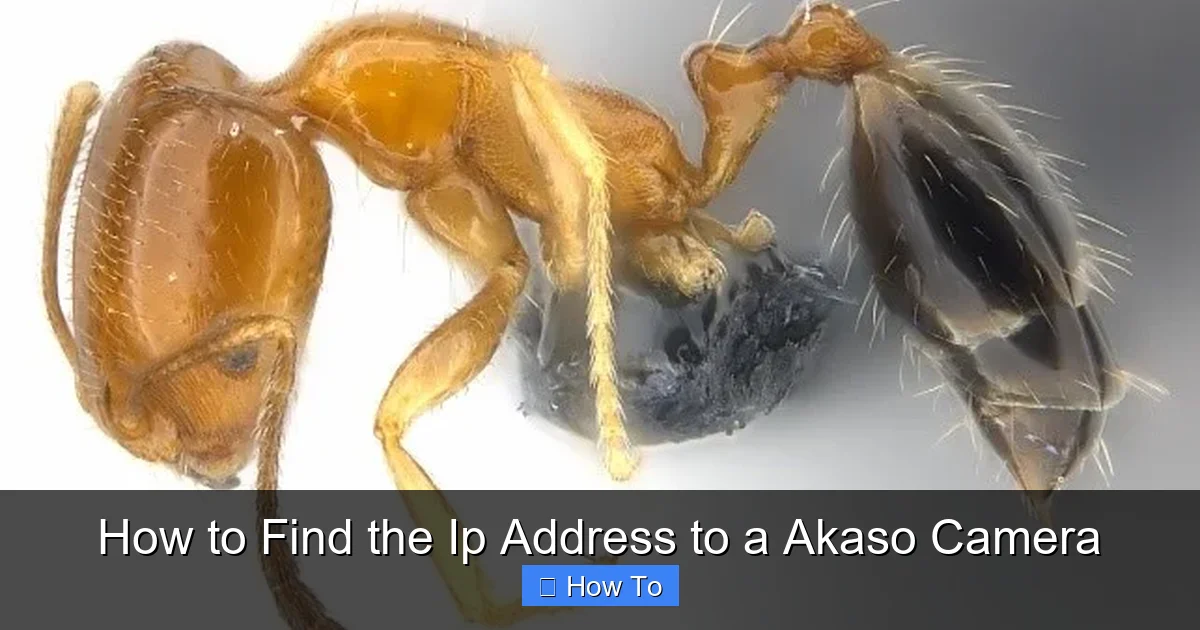 How to Find the Ip Address to a Akaso Camera