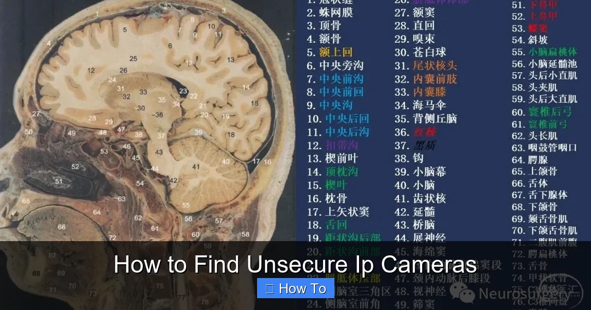 How to Find Unsecure Ip Cameras