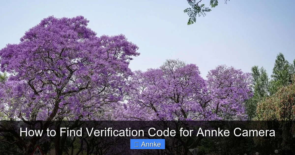 How to Find Verification Code for Annke Camera