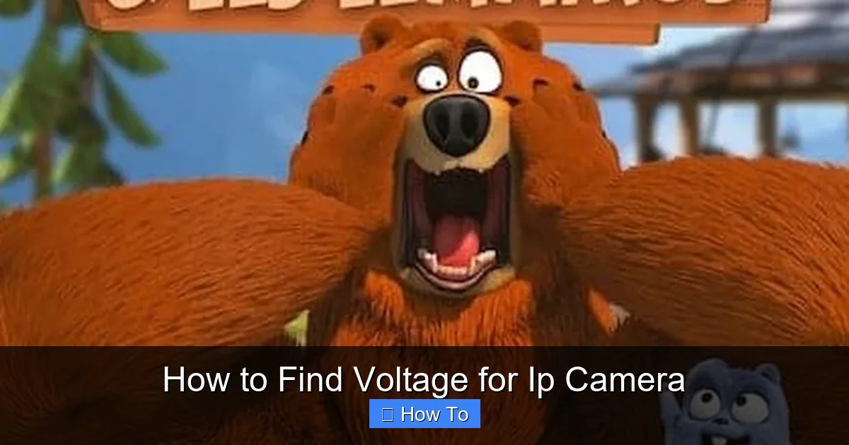 How to Find Voltage for Ip Camera