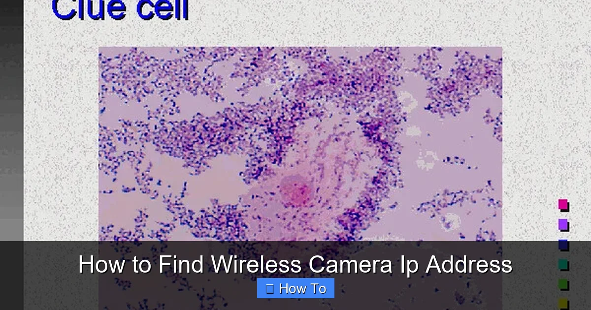 How to Find Wireless Camera Ip Address