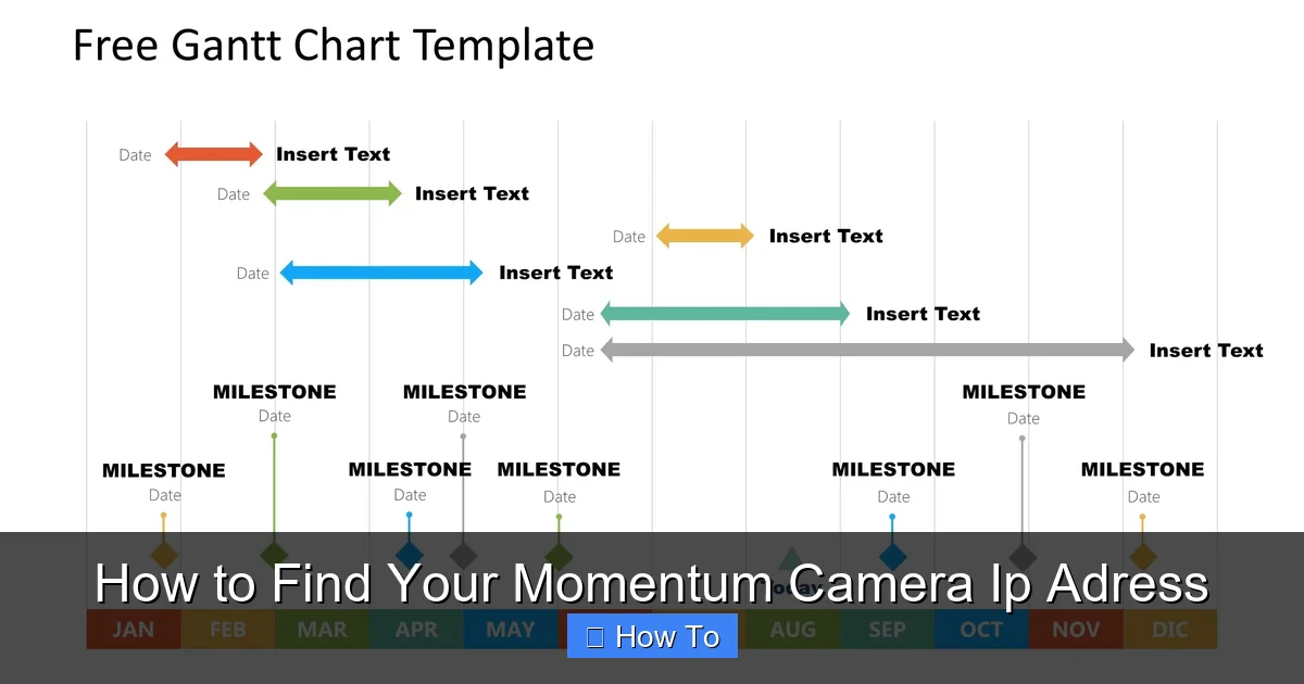 How to Find Your Momentum Camera Ip Adress