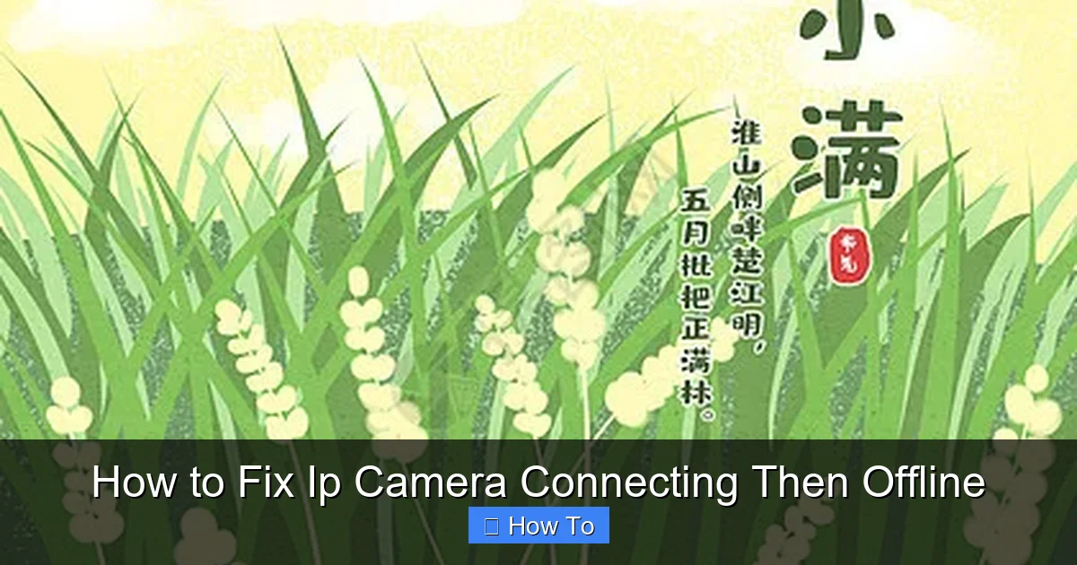 How to Fix Ip Camera Connecting Then Offline