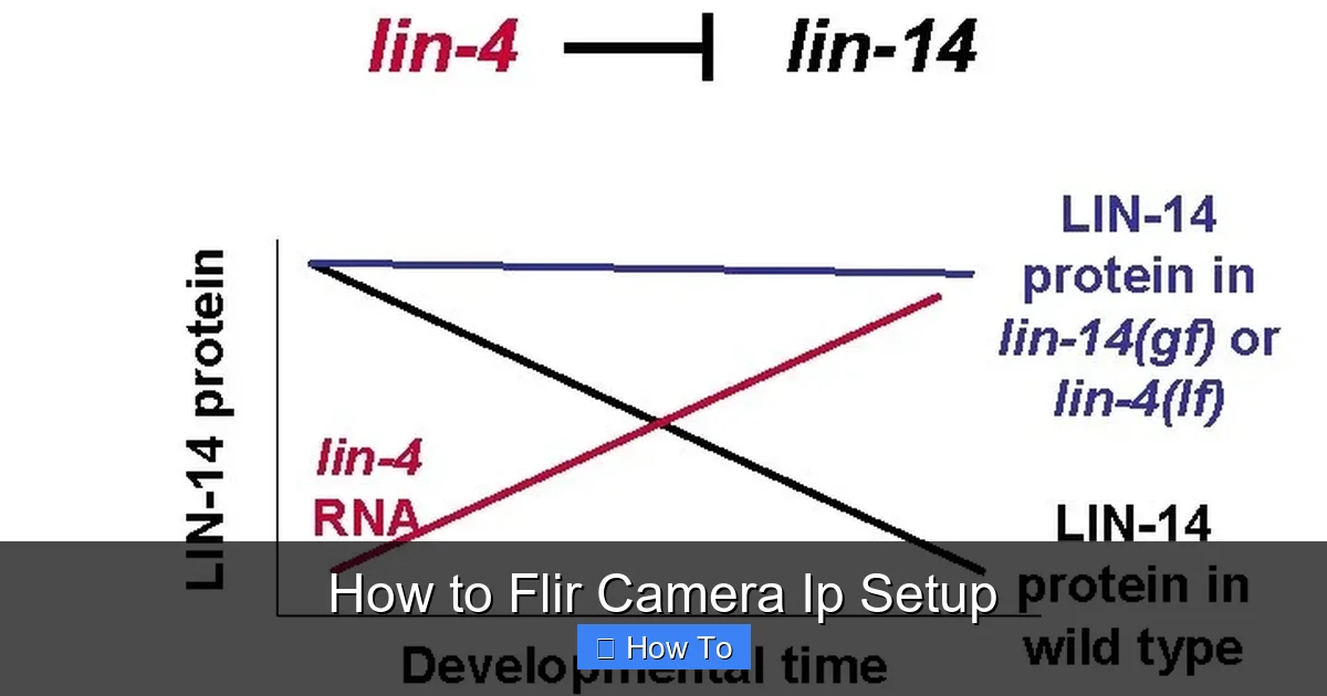 How to Flir Camera Ip Setup