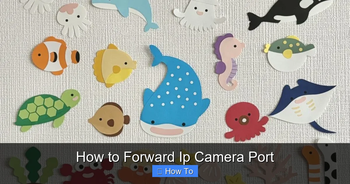 How to Forward Ip Camera Port