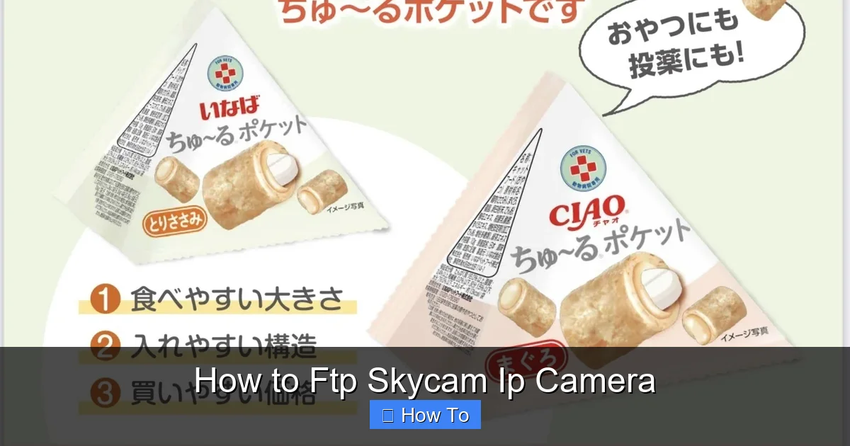 How to Ftp Skycam Ip Camera