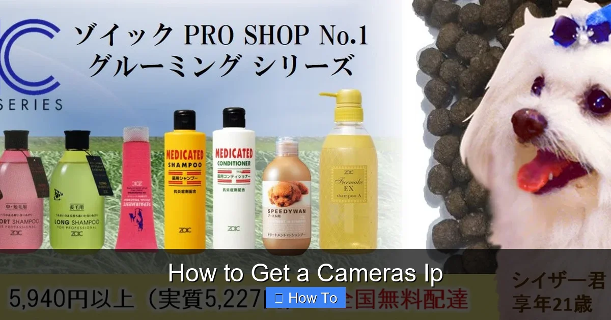 How to Get a Cameras Ip