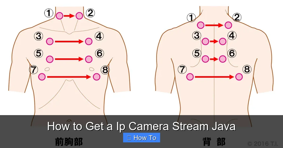 How to Get a Ip Camera Stream Java