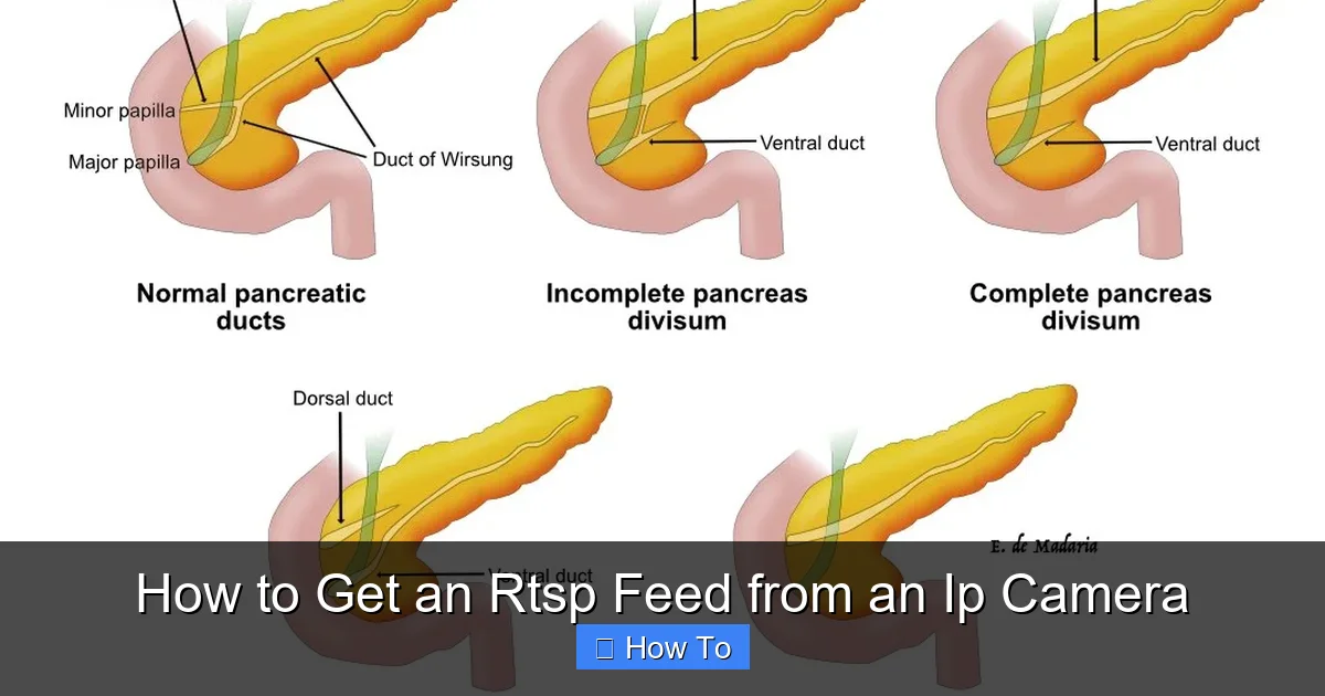 How to Get an Rtsp Feed from an Ip Camera