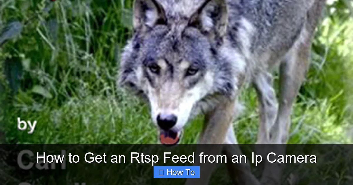 How to Get an Rtsp Feed from an Ip Camera