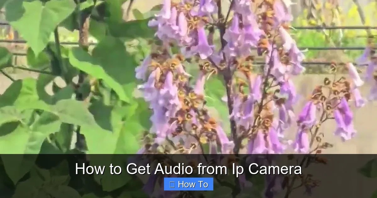 How to Get Audio from Ip Camera