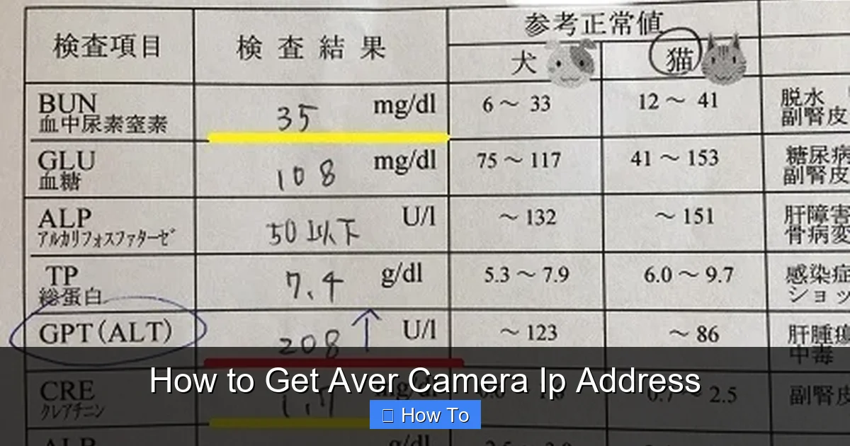 How to Get Aver Camera Ip Address
