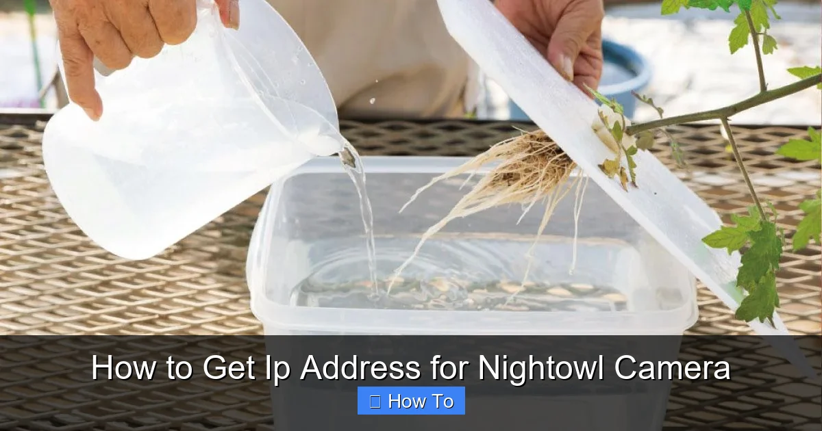 How to Get Ip Address for Nightowl Camera