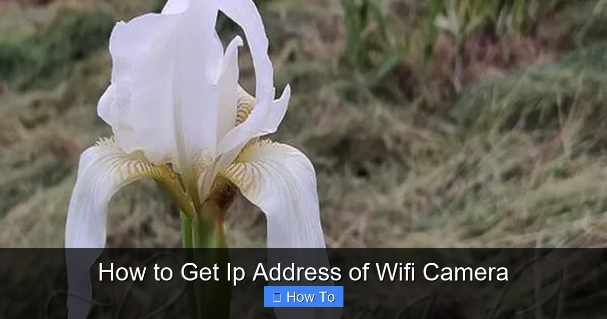 How to Get Ip Address of Wifi Camera