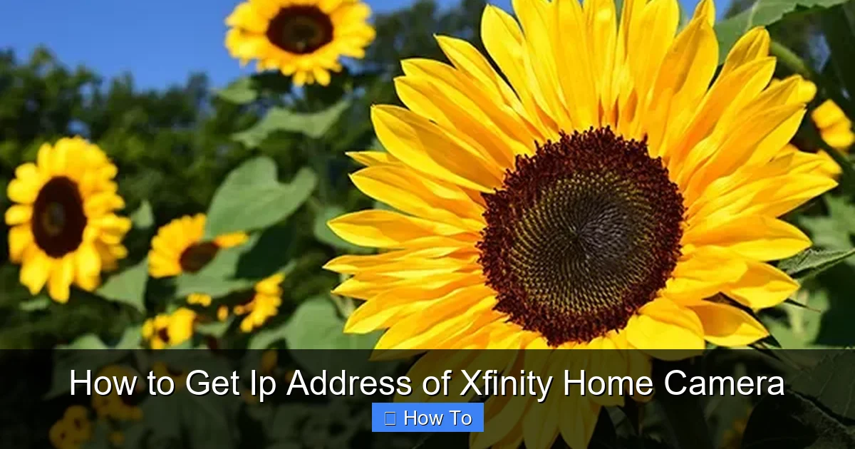 How to Get Ip Address of Xfinity Home Camera