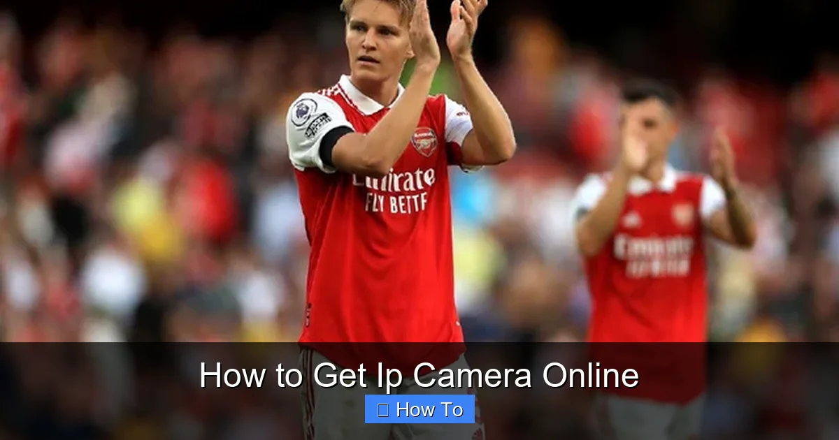 How to Get Ip Camera Online