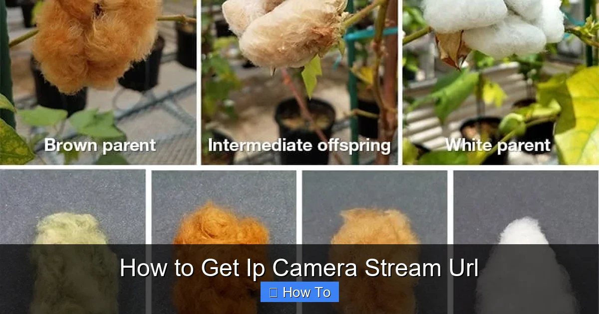 How to Get Ip Camera Stream Url