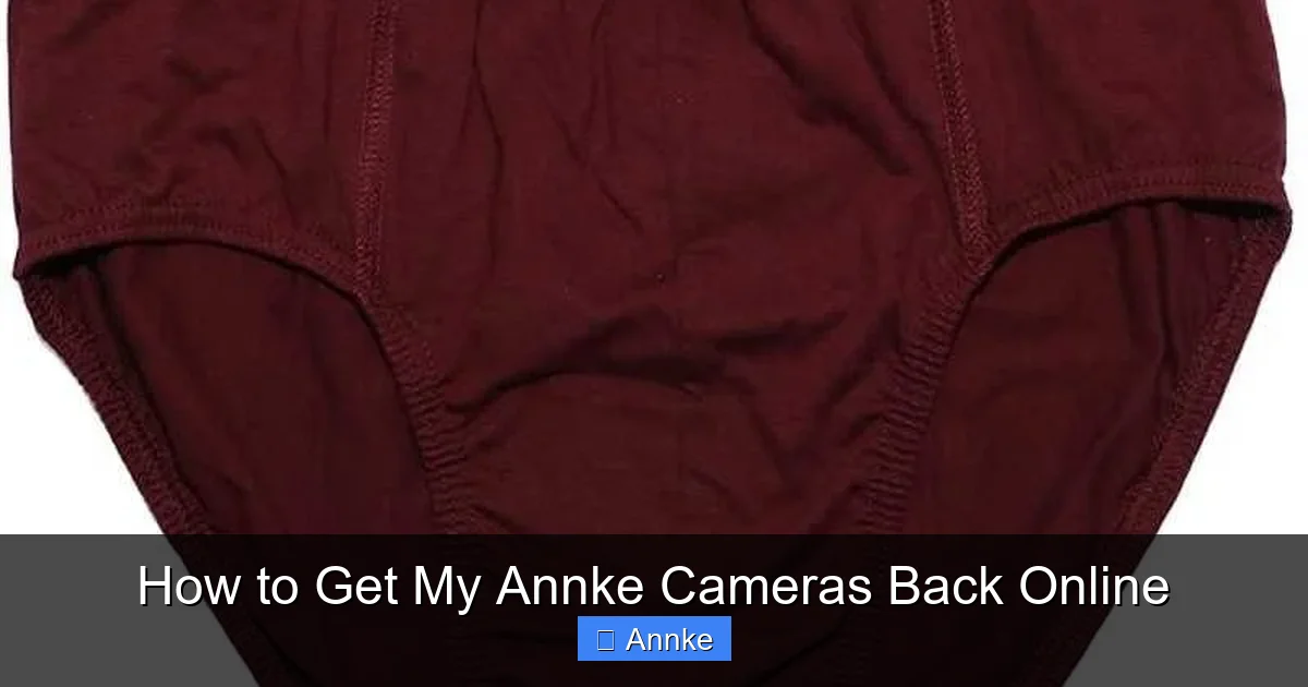 How to Get My Annke Cameras Back Online