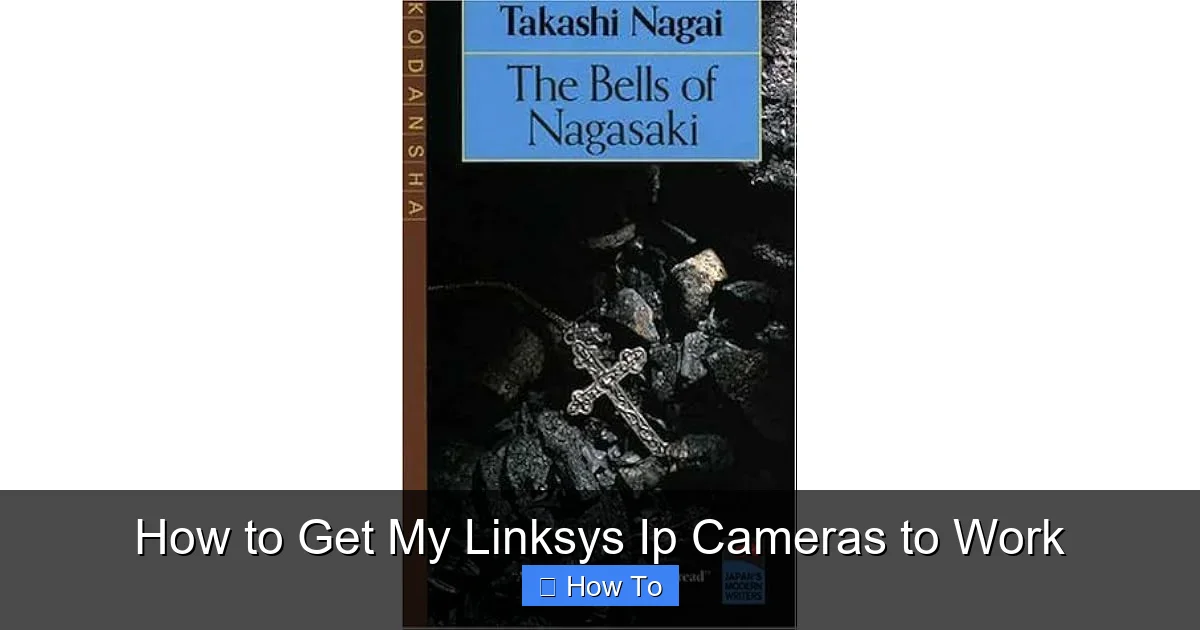 How to Get My Linksys Ip Cameras to Work