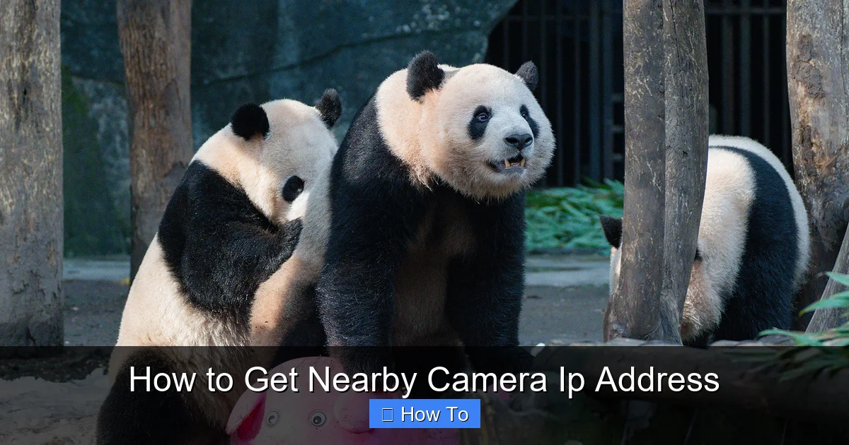 How to Get Nearby Camera Ip Address