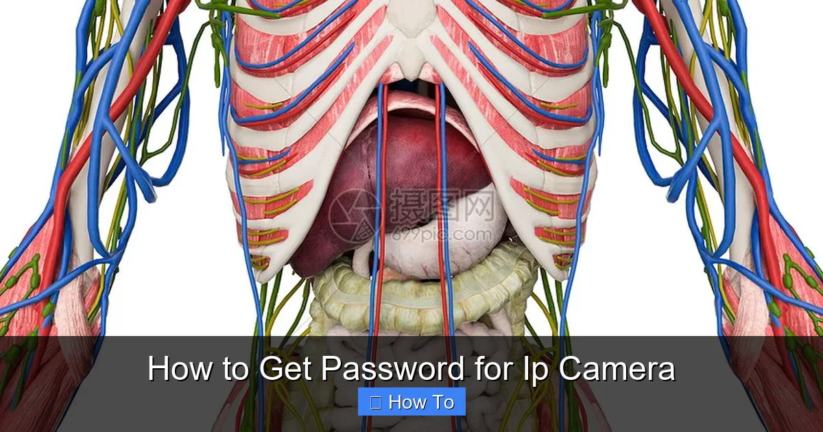 How to Get Password for Ip Camera
