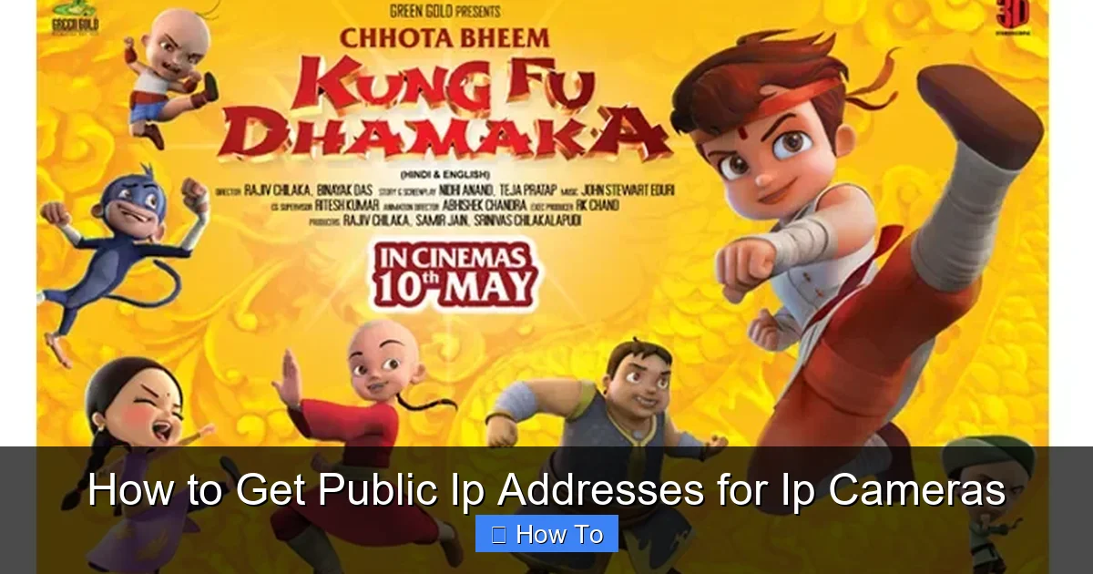 How to Get Public Ip Addresses for Ip Cameras