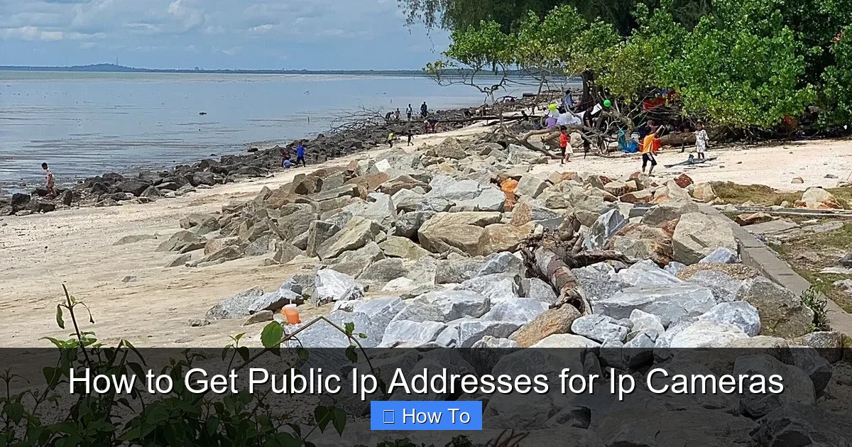 How to Get Public Ip Addresses for Ip Cameras