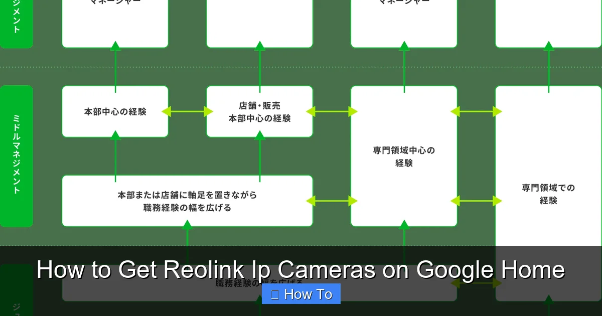 How to Get Reolink Ip Cameras on Google Home