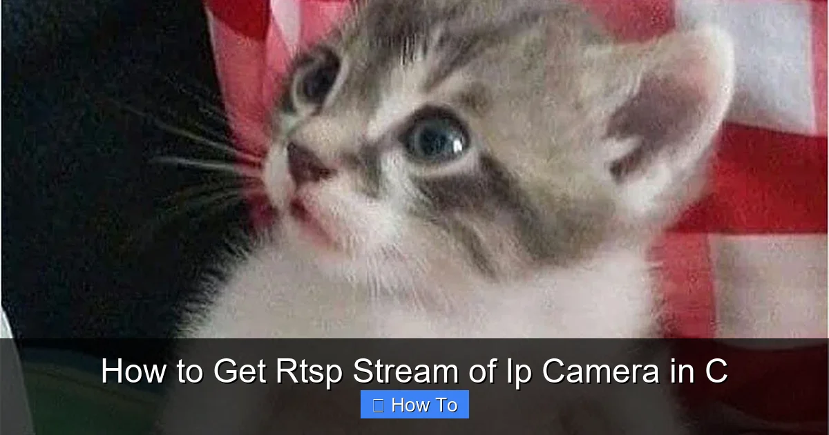 How to Get Rtsp Stream of Ip Camera in C