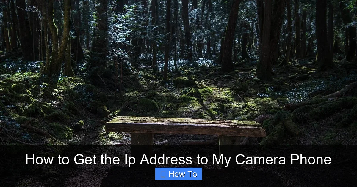 How to Get the Ip Address to My Camera Phone